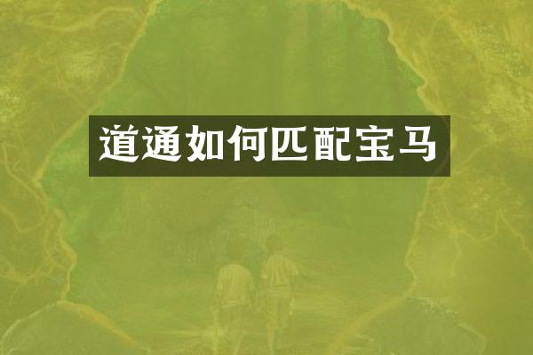 道通如何匹配宝马