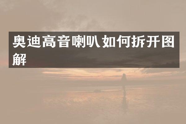 奥迪高音喇叭如何拆开图解