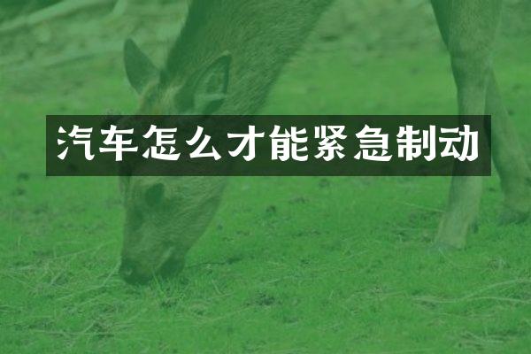 汽车怎么才能紧急制动