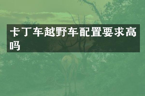 卡丁车越野车配置要求高吗