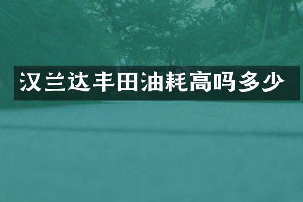 汉兰达丰田油耗高吗多少