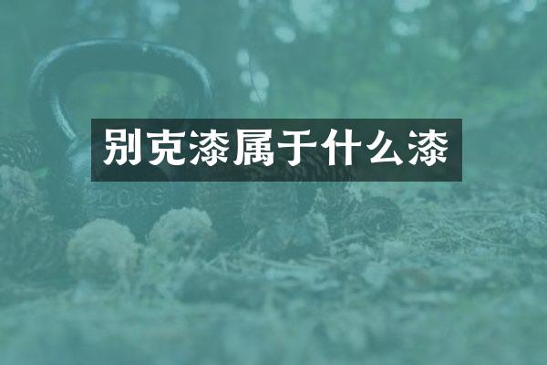 别克漆属于什么漆
