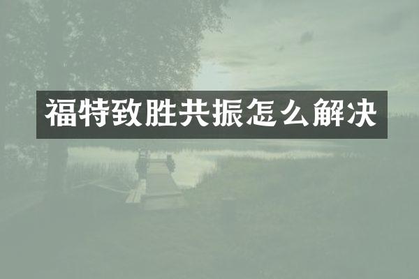 福特致胜共振怎么解决