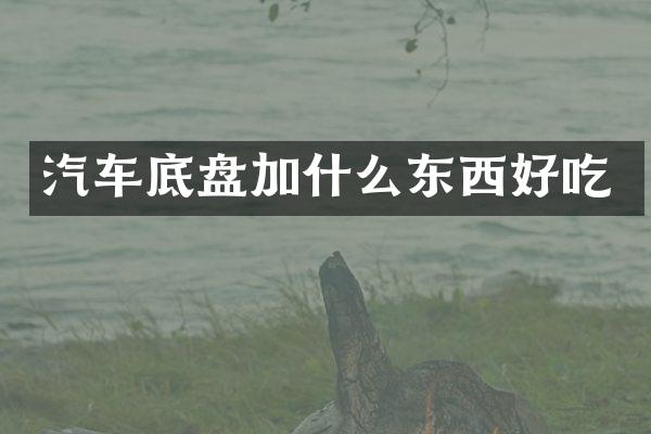 汽车底盘加什么东西好吃