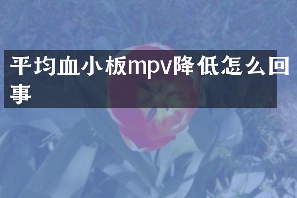 平均血小板mpv降低怎么回事