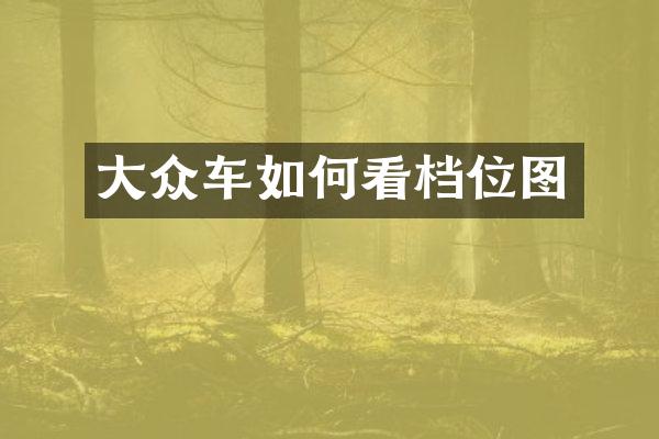 大众车如何看档位图