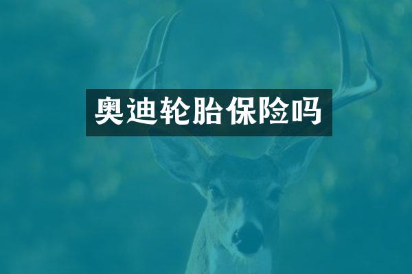 奥迪轮胎保险吗