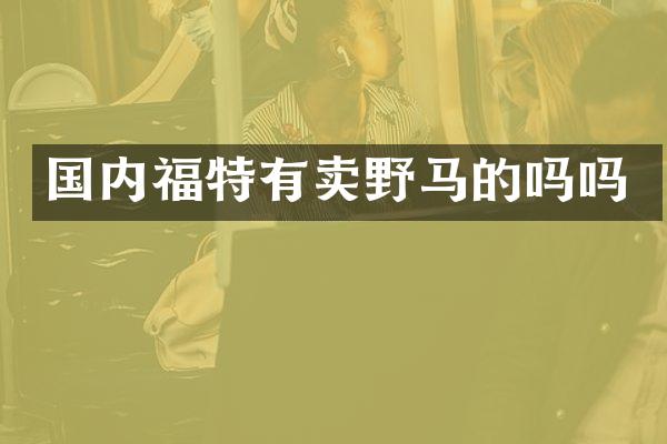 国内福特有卖野马的吗吗