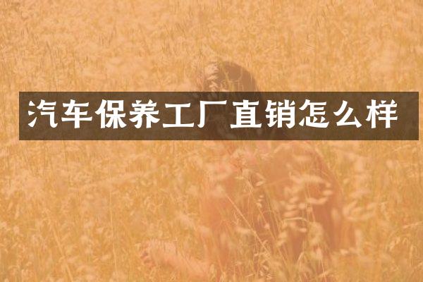 汽车保养工厂直销怎么样