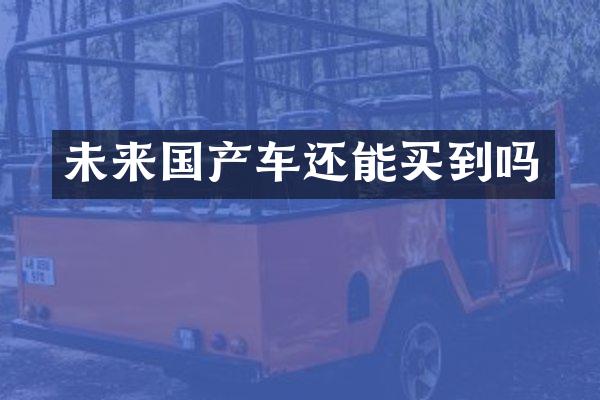 未来国产车还能买到吗