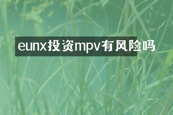 eunx投资mpv有风险吗