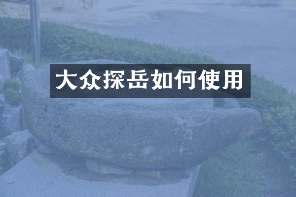 大众探岳如何使用