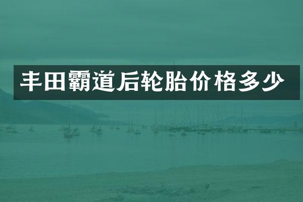丰田霸道后轮胎价格多少