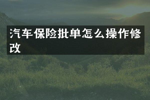 汽车保险批单怎么操作修改