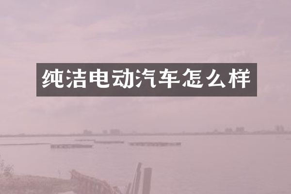 纯洁电动汽车怎么样
