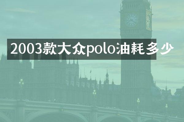 2003款大众polo油耗多少