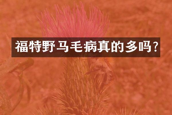 福特野马毛病真的多吗?