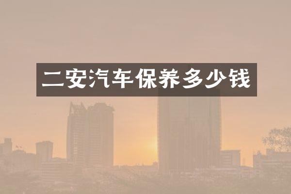 二安汽车保养多少钱