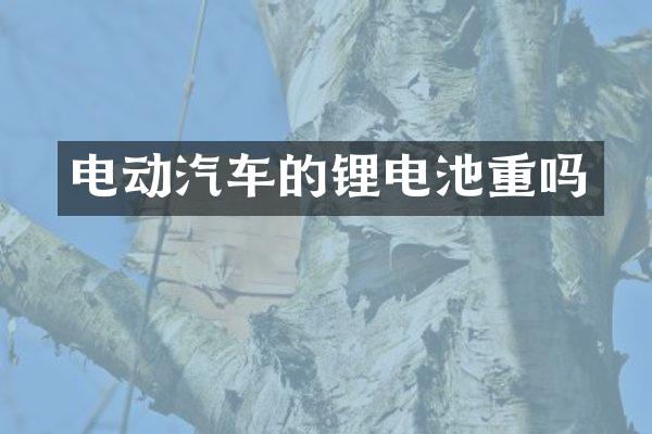 电动汽车的锂电池重吗