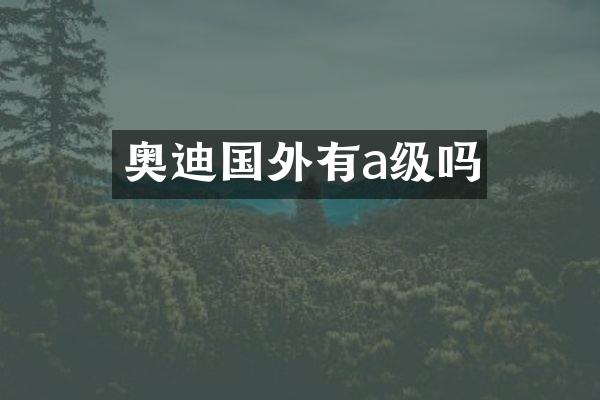 奥迪国外有a级吗