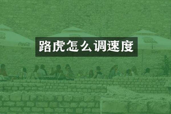 路虎怎么调速度