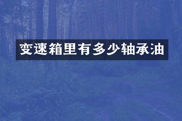 变速箱里有多少轴承油