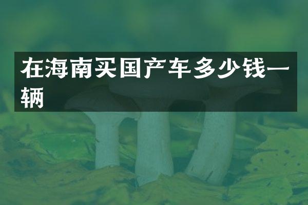 在海南买国产车多少钱一辆