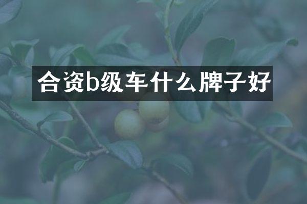合资b级车什么牌子好