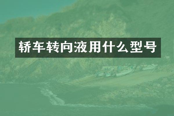 轿车转向液用什么型号