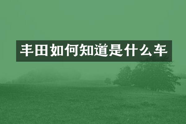 丰田如何知道是什么车