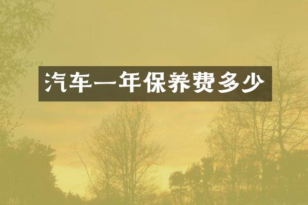 汽车一年保养费多少