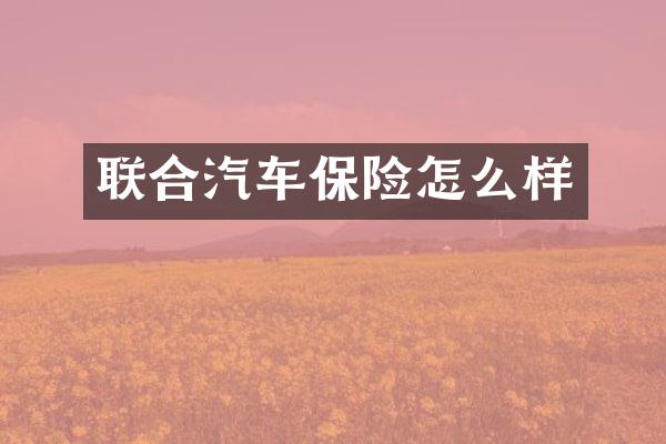 联合汽车保险怎么样