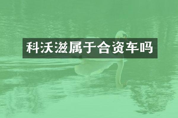 科沃滋属于合资车吗
