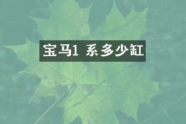 宝马1 系多少缸
