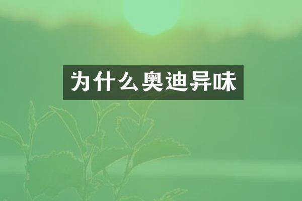 为什么奥迪异味