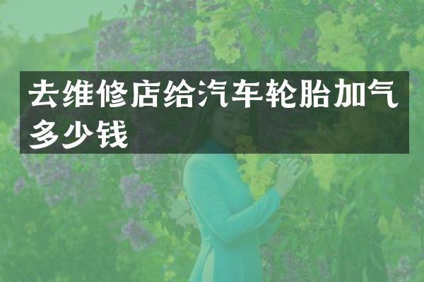 去维修店给汽车轮胎加气多少钱