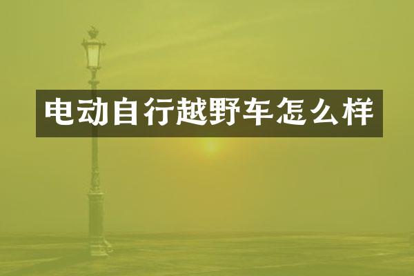 电动自行越野车怎么样