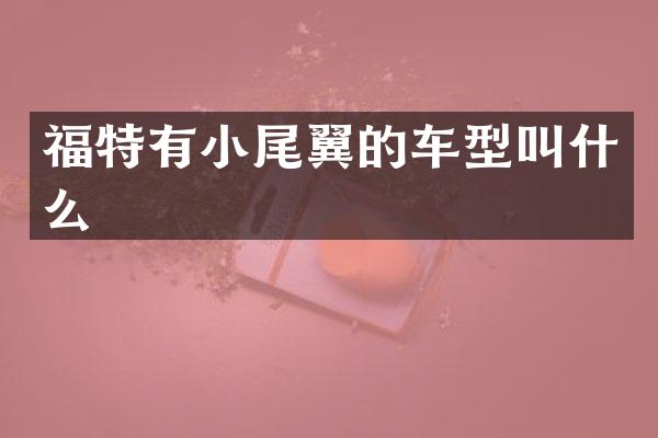 福特有小尾翼的车型叫什么
