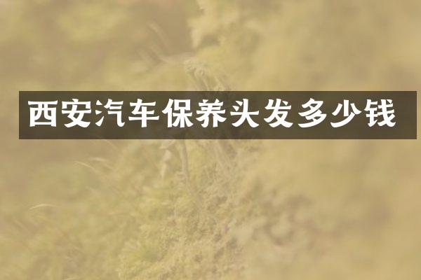 西安汽车保养头发多少钱