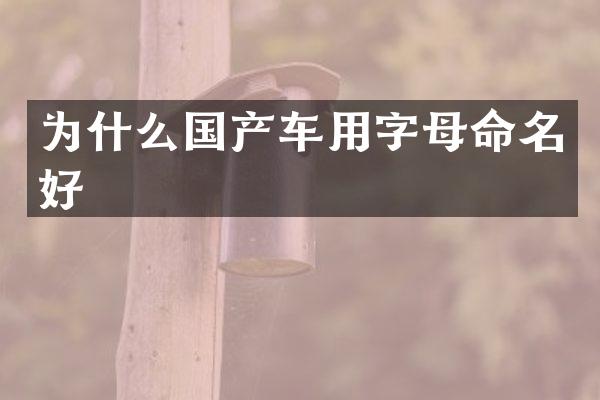 为什么国产车用字母命名好