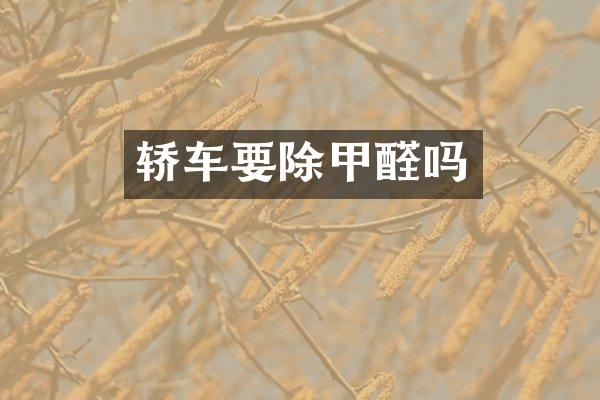 轿车要除甲醛吗