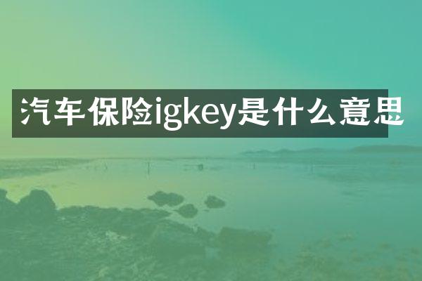 汽车保险igkey是什么意思