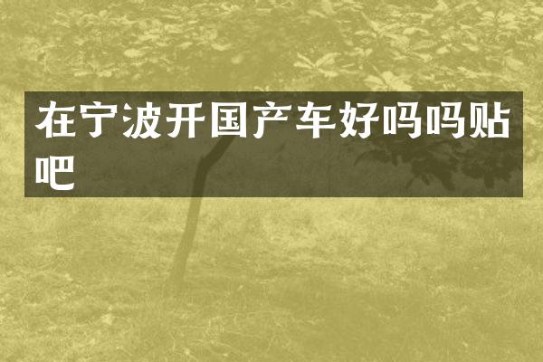 在宁波开国产车好吗吗贴吧