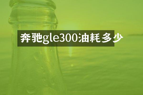 奔驰gle300油耗多少