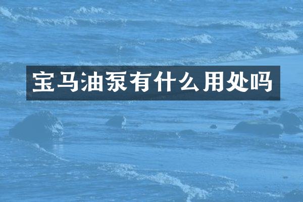 宝马油泵有什么用处吗