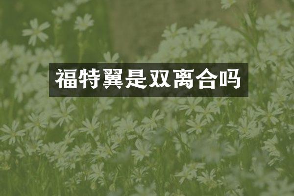 福特翼是双离合吗
