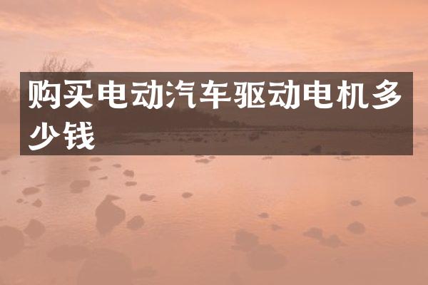 购买电动汽车驱动电机多少钱