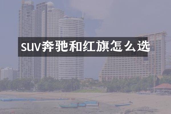 suv奔驰和红旗怎么选