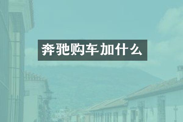 奔驰购车加什么