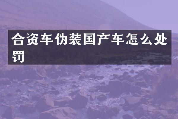合资车伪装国产车怎么处罚